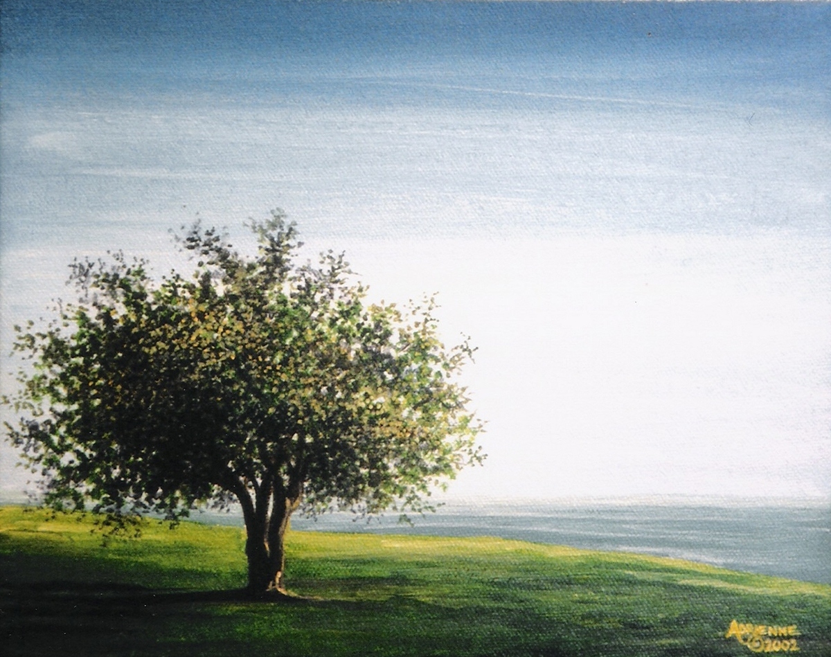 Grande Digue Tree 2002